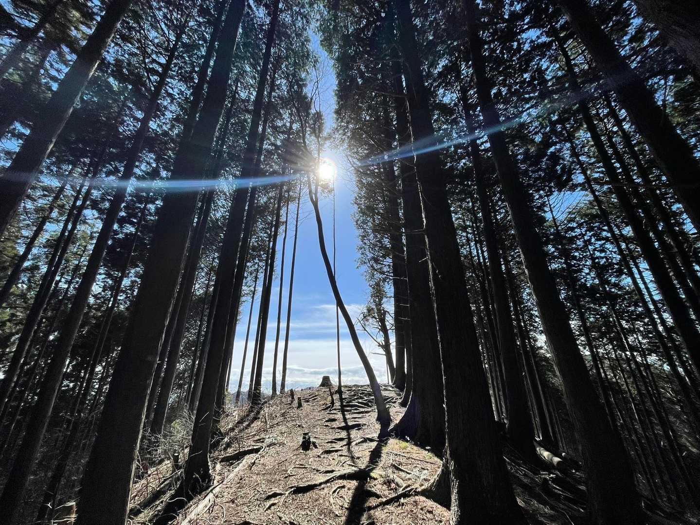 荷田子峠 ・城山・臼杵山登り口-荷田子峠-臼杵山-石津窪山 縦走コースの写真
