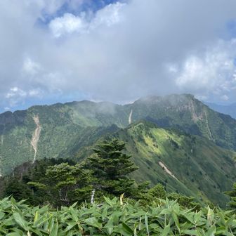 石鎚山が見えます
なんか石鎚山から歩いたほうが楽だったのではないかと、、