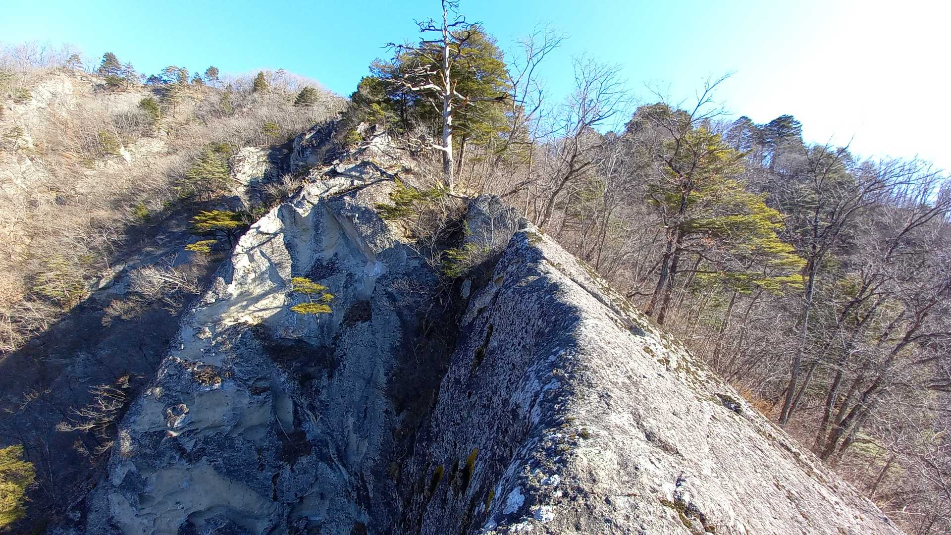 振り返って