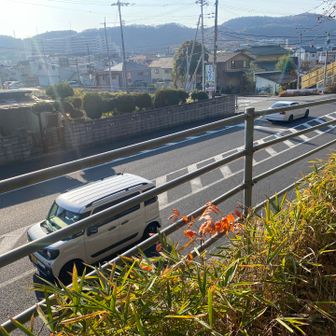 降りてきたか〜