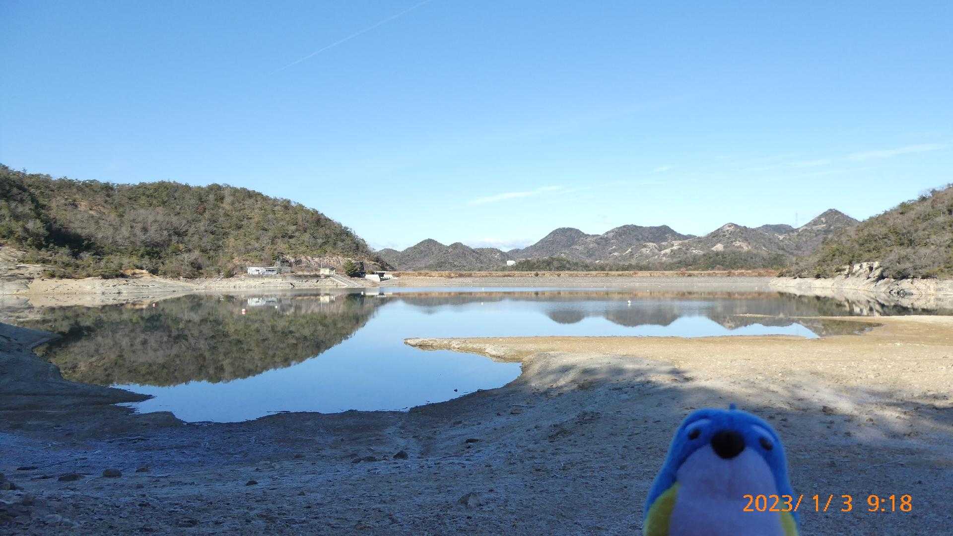 池に出てみました。