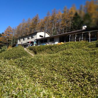 双子池ヒュッテ