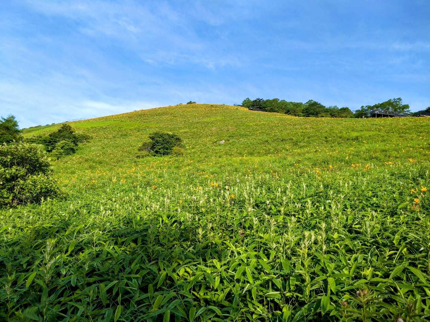 霧降高原レストハウス-赤薙山-丸山 周回コースの写真