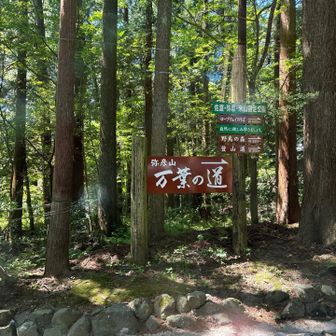 急ぎ神社⛩️へ向かう
