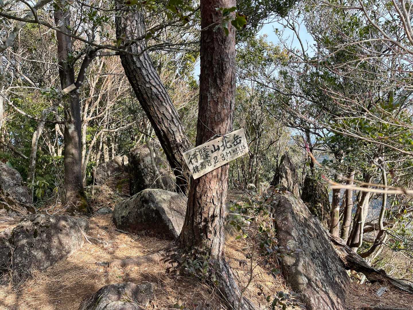 なんだかんだで北岳到着😎