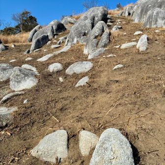 下の方は
綺麗に草が刈られています
岩だらけのこの斜面を刈るのは
高い技術が要りそうですね