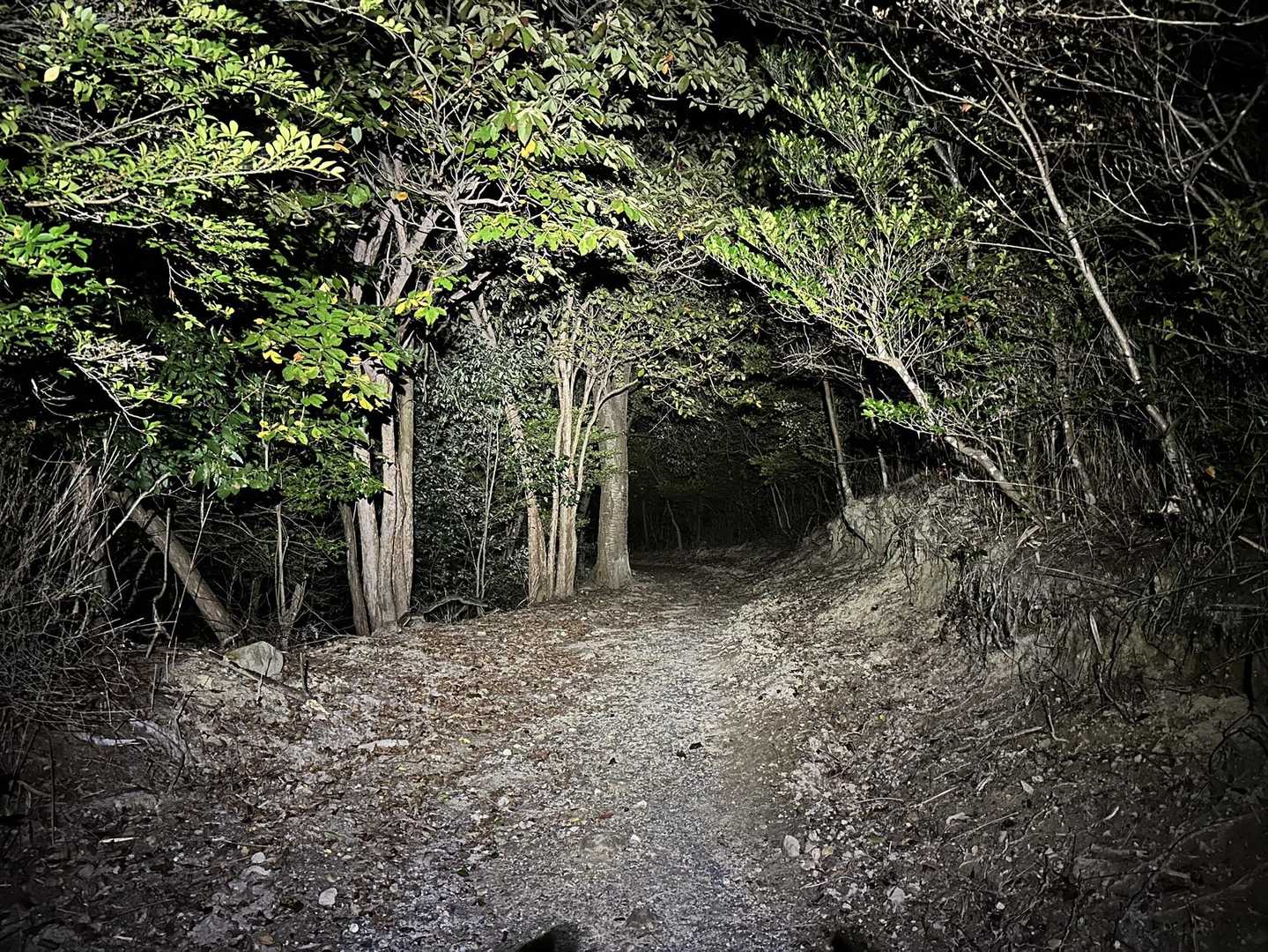正木山 往復コースの写真