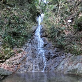 龍門の滝。手前から下の直通道を進みましたが、普通に登山道を行っても行けます。