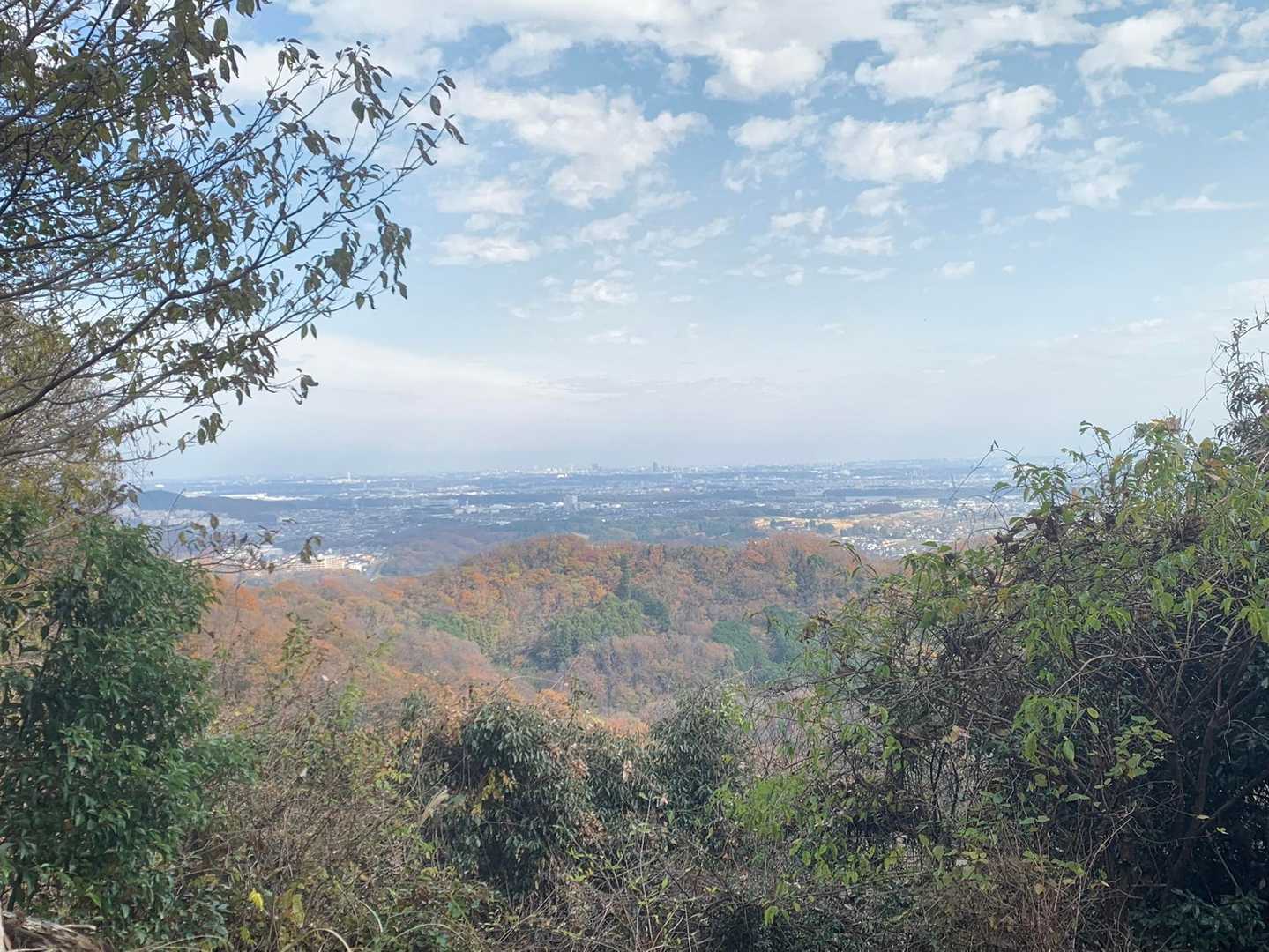 順礼峠-むじな坂峠-白山 往復コースの写真