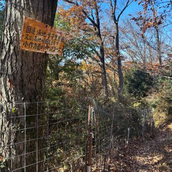 満腹満足✨
さ、次へー