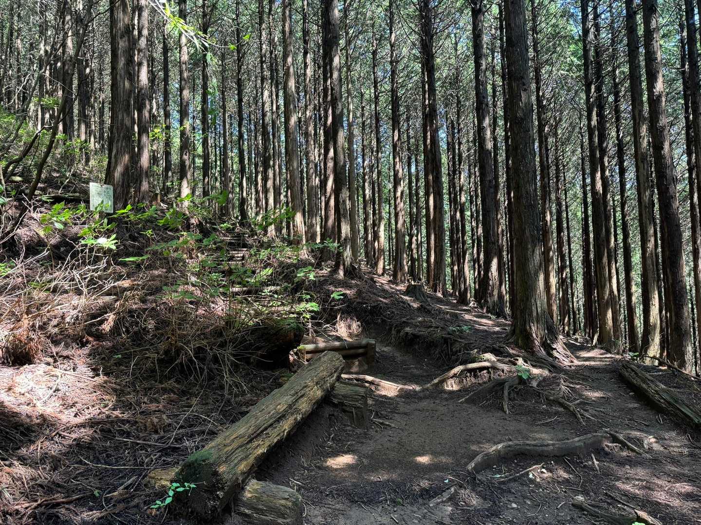 暑さはさほど無くて、風があって気持ちいい