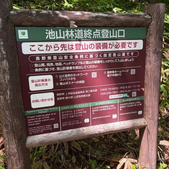 池山林道まで下山