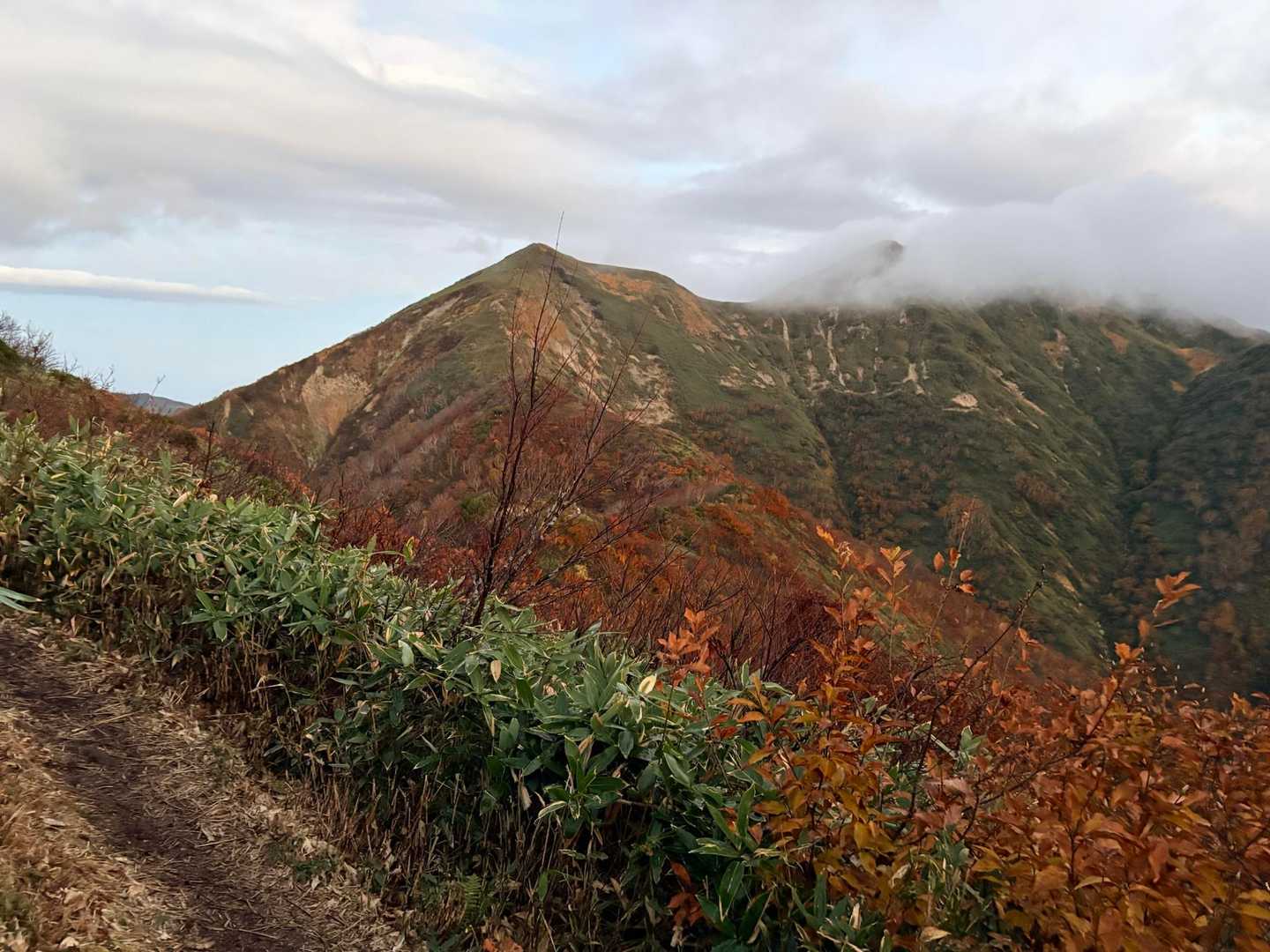 向かう先。色付いてた🍁