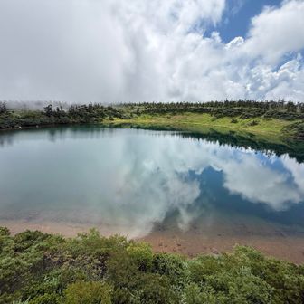 ガマ沼