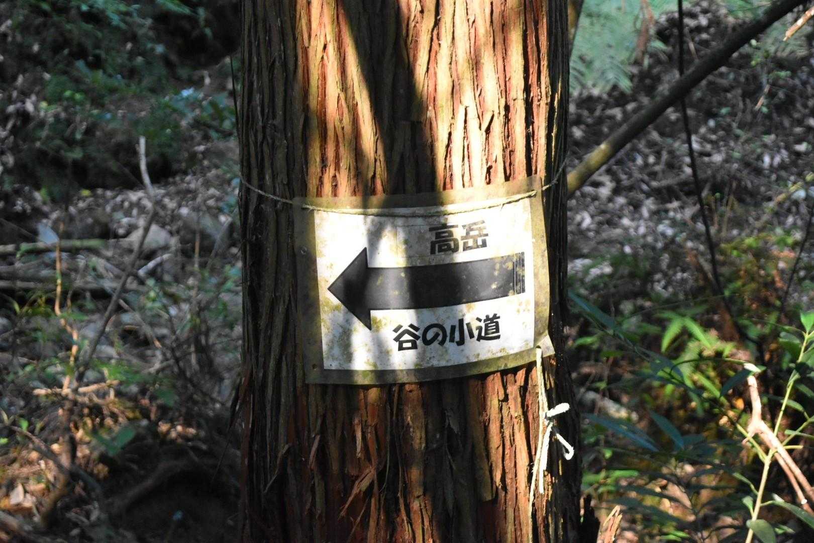 直登コースは、谷間を進む。
