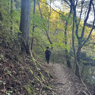 下山します