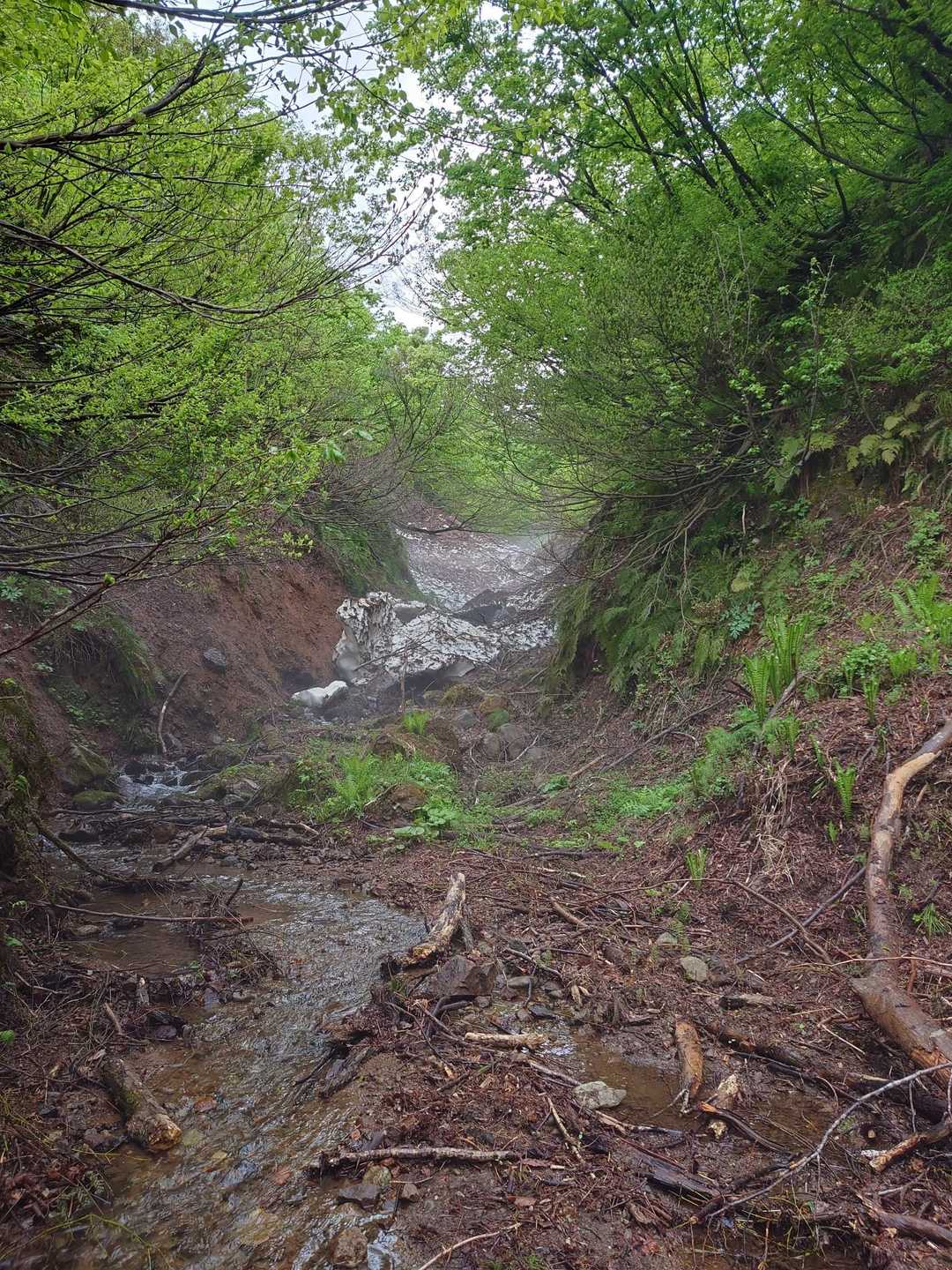 高山 往復コースの写真