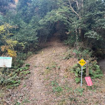 しかしこの時はそんなことなど全く思いもよらず『わーいピークがたくさんだぁ❤️』って歩いていました。