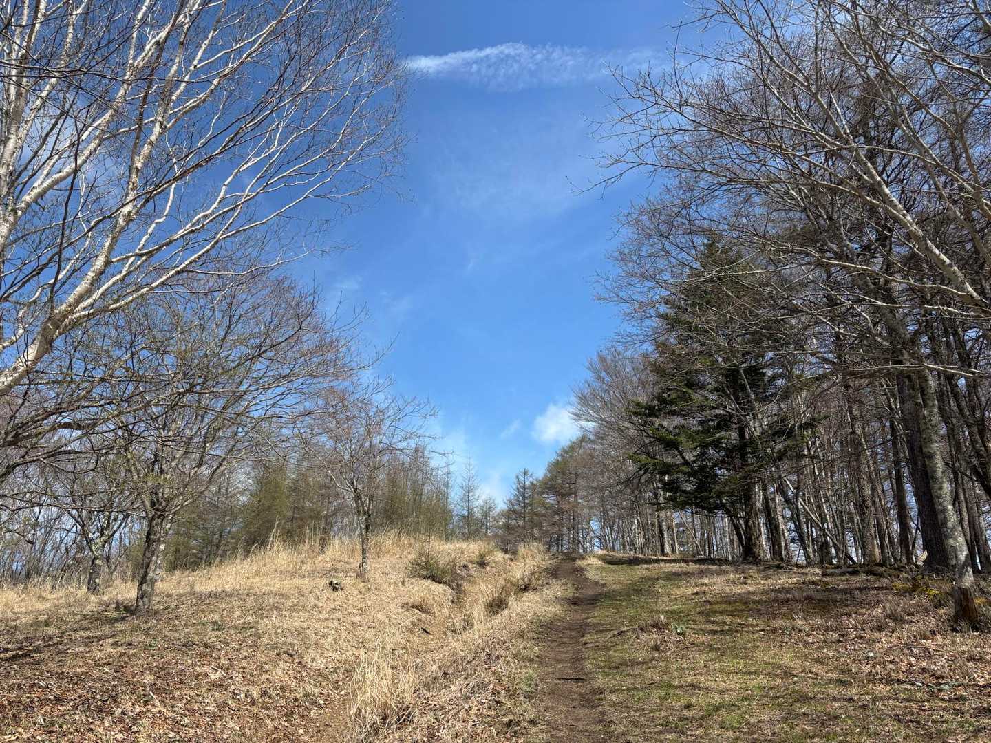 石尾根って本当に最高ですわ♡