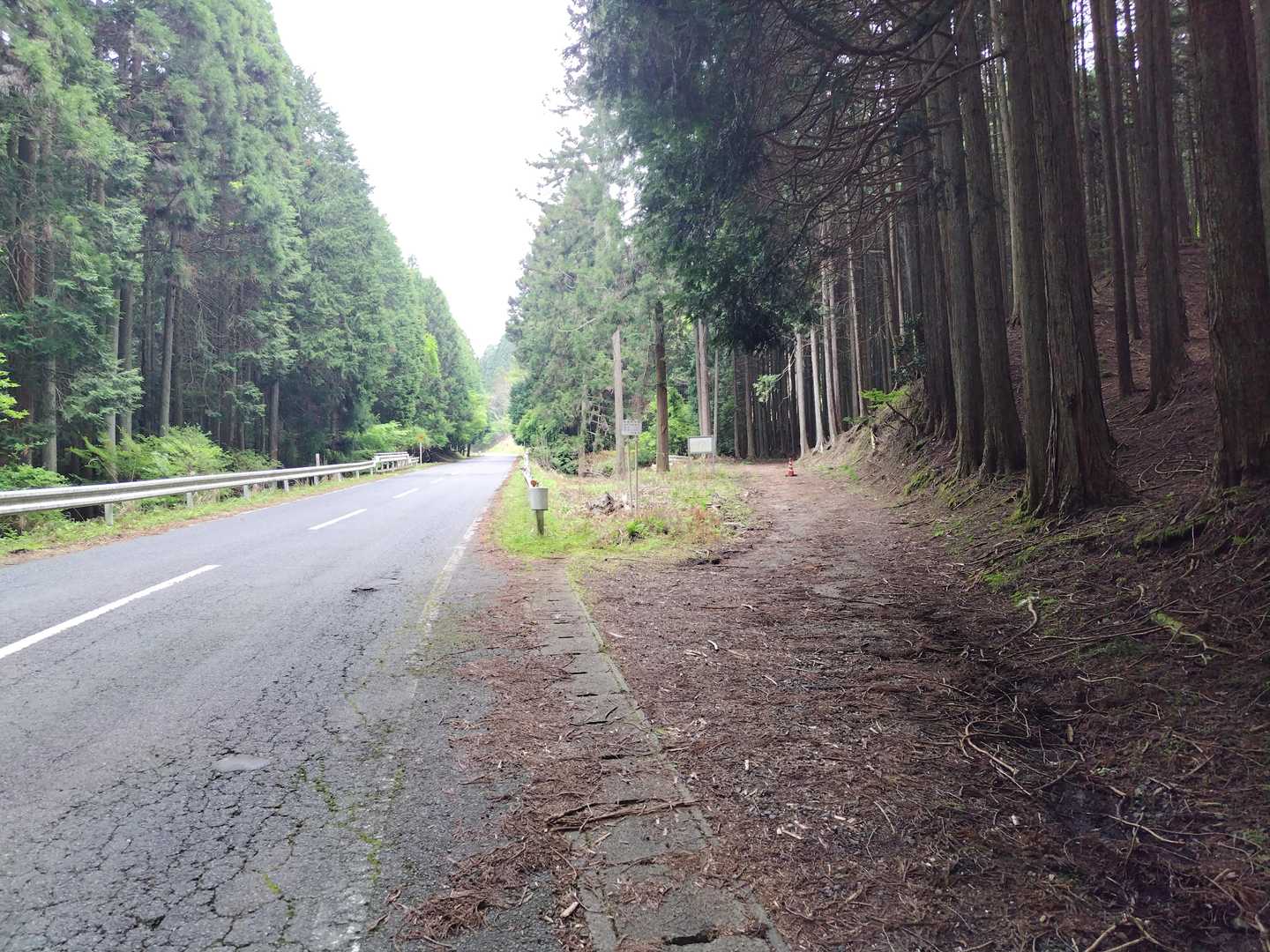 少し舗装路を歩いたら、右の林道へ😊