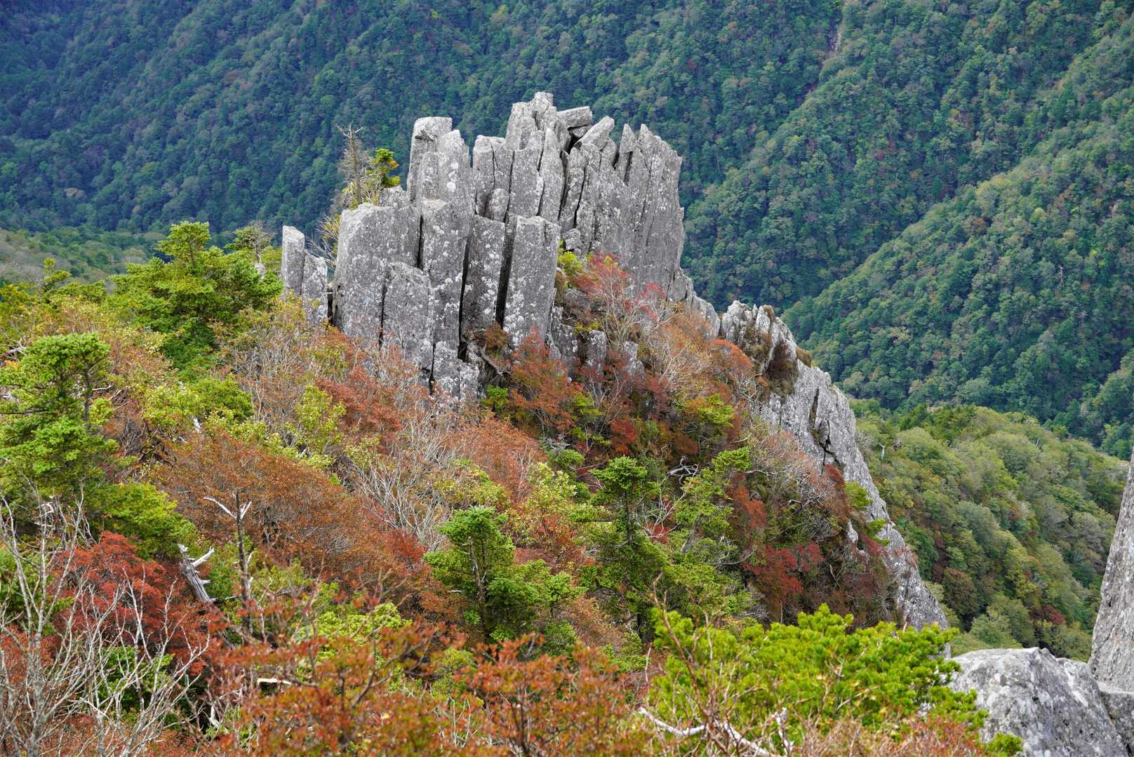 墓場尾根