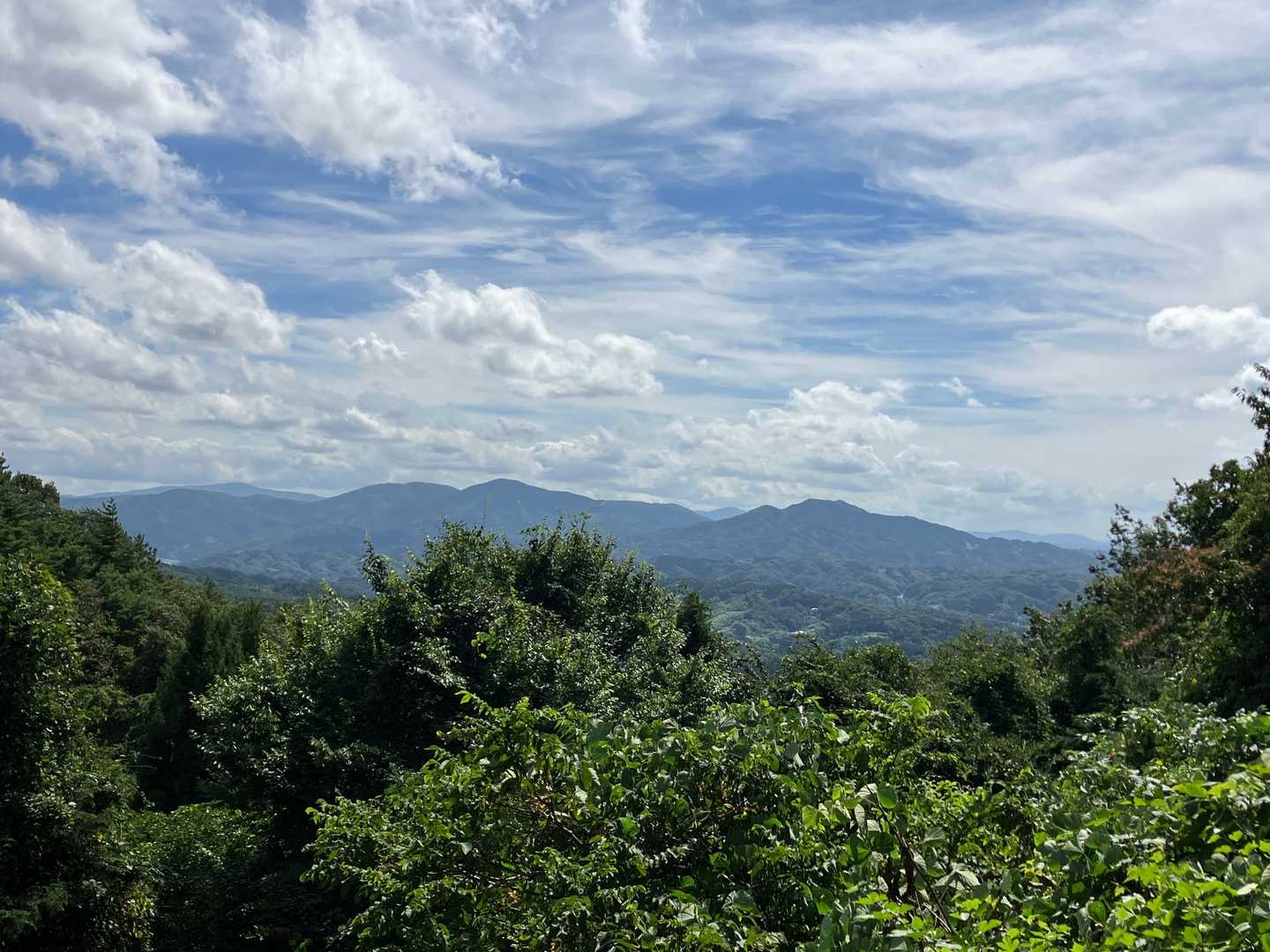 景色が開けた　山並みがきれい✨