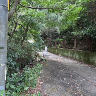 ここをまっすぐではなく、左を見ると登山口👈