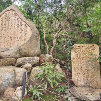達筆すぎて読めない💦