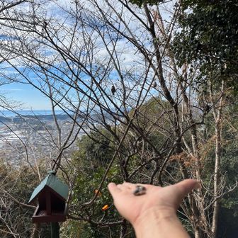 なかなか来ない😅