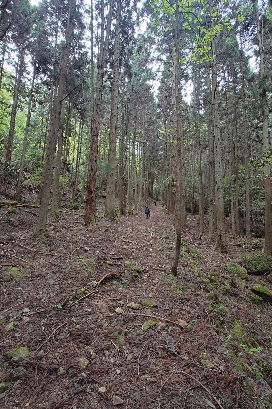 舩谷山-深山 周回コースの写真