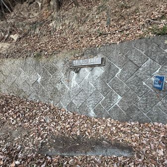 落ち葉で足元わかんなくて気使ったけど
無事下山