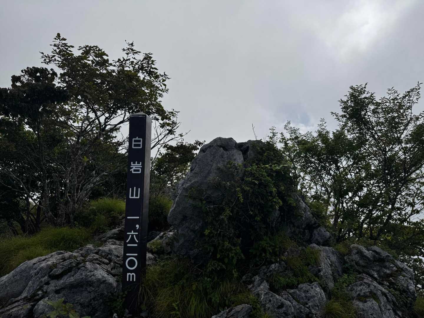 ゴボウ畠登山口-白岩峠-白岩山-向坂山 周回コースの写真