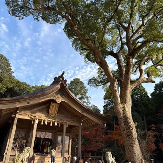 お天気☀️良いから 賑わってますね😊