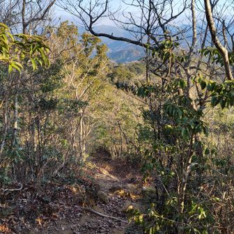 おなかいっぱいになり、世界に光が満ちたのでそろそろ帰ります。