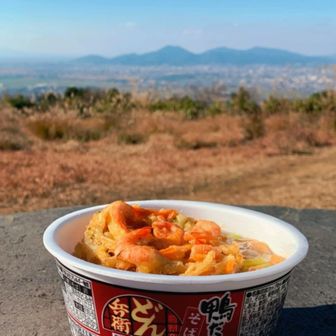 どん兵衛の鴨だし蕎麦にスーパーで買ったかき揚げをぶちこんで年越し蕎麦の完成です
今回はどうにか年が越せそうです