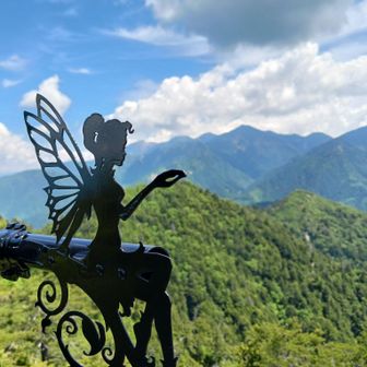 糸瀬山…登山道は整備され一本道なので登りやすいのですがひたすら急登が続き頂上近辺まで眺望も無いので結構キツイです😅のろし岩上からは大眺望が拡がり達成感もひとしおですが、あの怖さは実際に自分の足で梯子の上に立ってみないと判らないと思います🤔
皆様くれぐれも無理をなさらぬよう、そしてご安全に☝