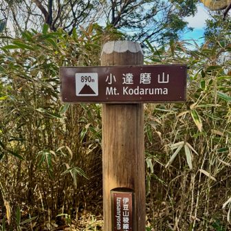 小達磨到着〜
景観は無し