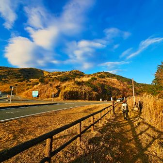 湖尻峠も雰囲気はとっても良い感じ。
芦ノ湖スカイラインと併走なので車が多いので注意。