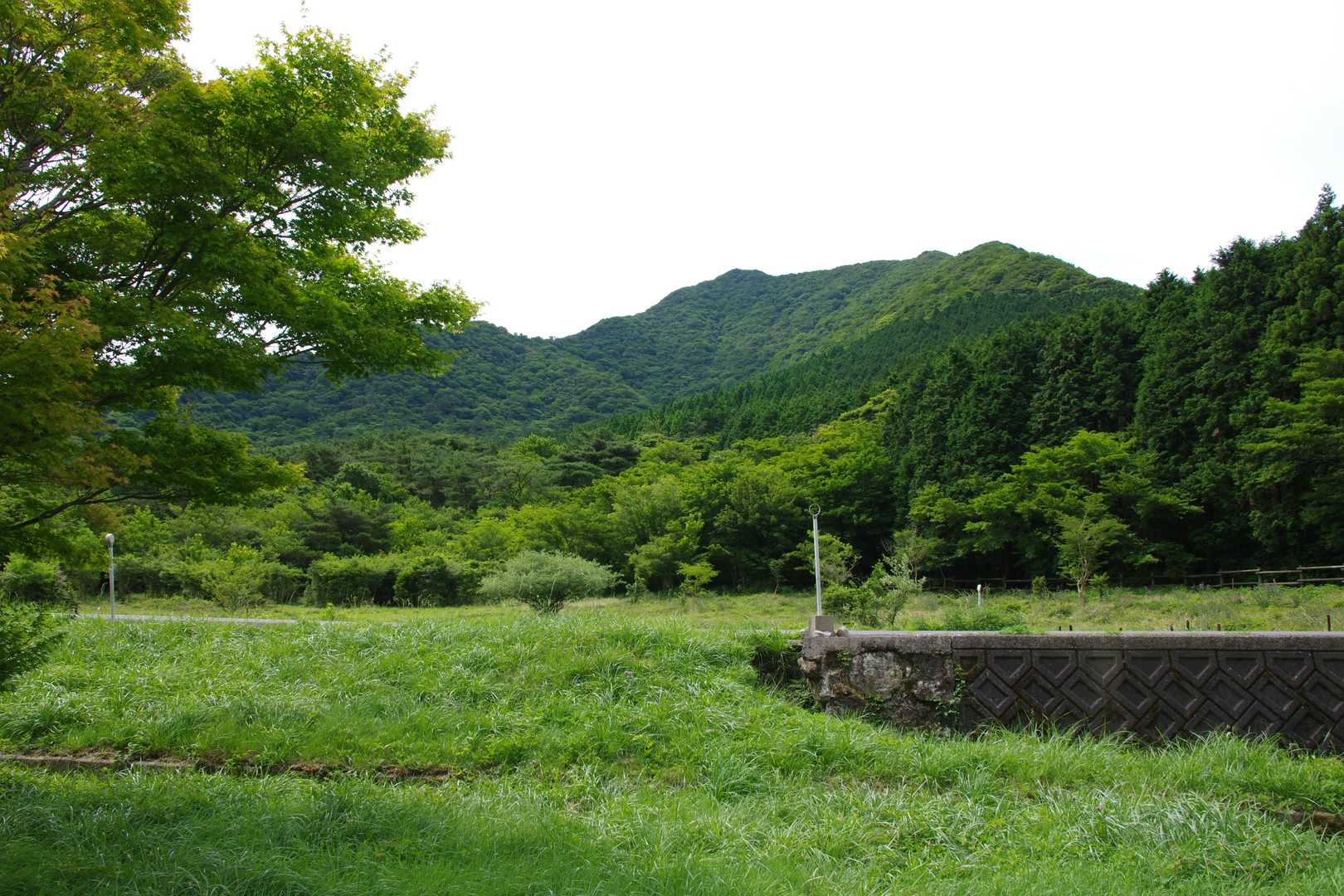 九千部岳 周回コースの写真