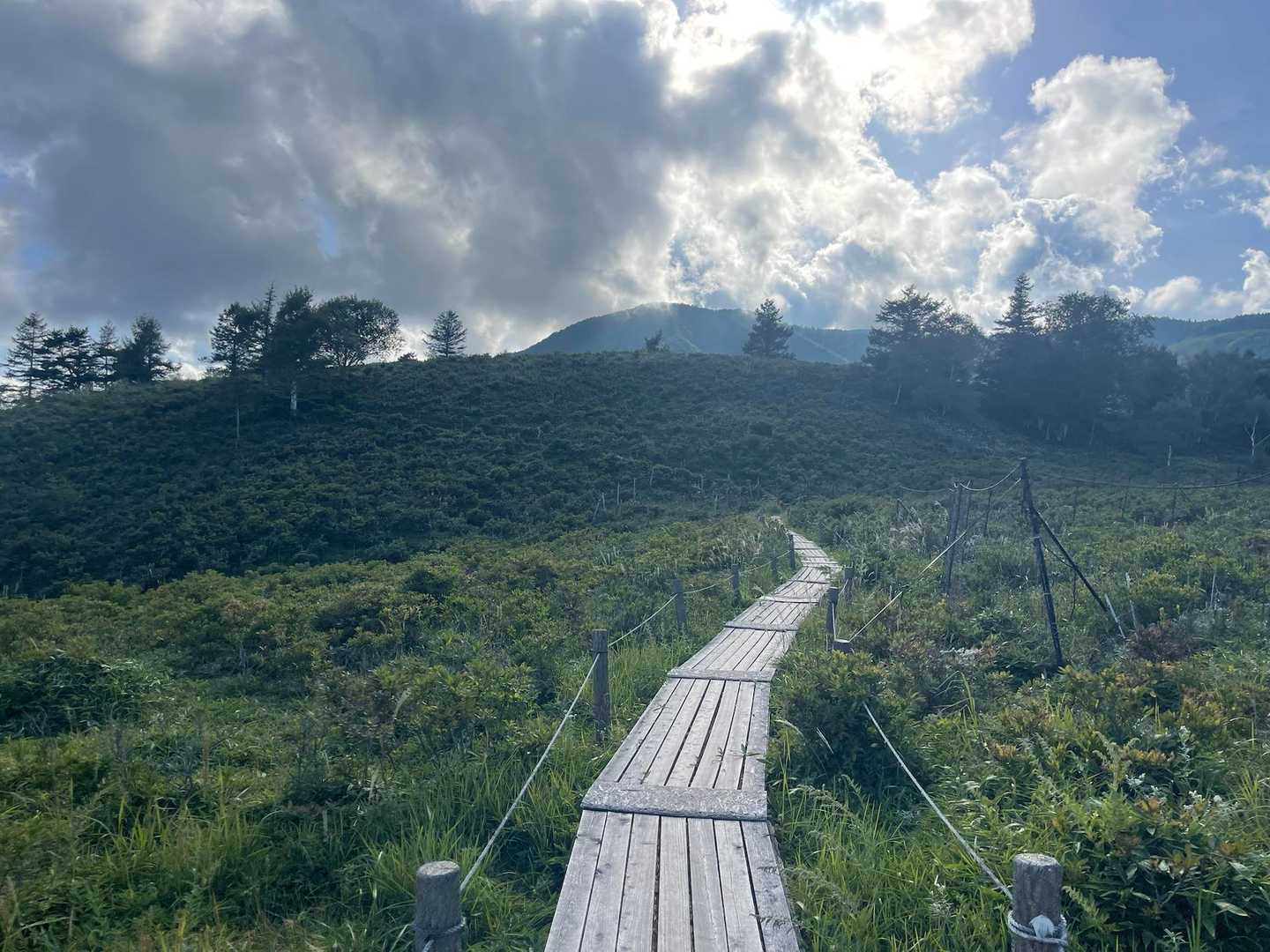 甘利山登山口-甘利山-南甘利山 往復コースの写真