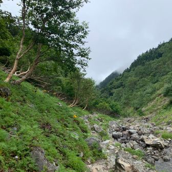 馬の背ヒュッテから先、今回は沢沿い側を選択