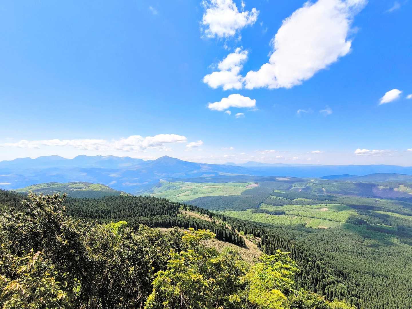 万年山周回 | 気持ちの良い草原とミヤマキリシマの絶景を手軽に楽しむの写真