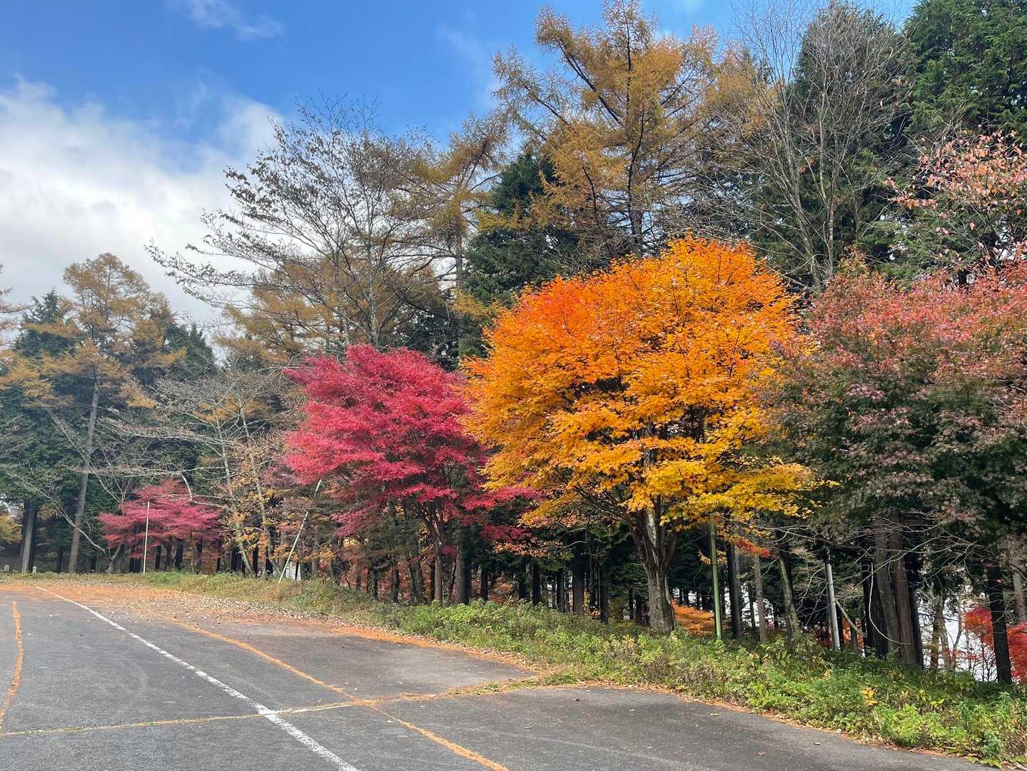 榛名山-杖ノ神峠 縦走コースの写真