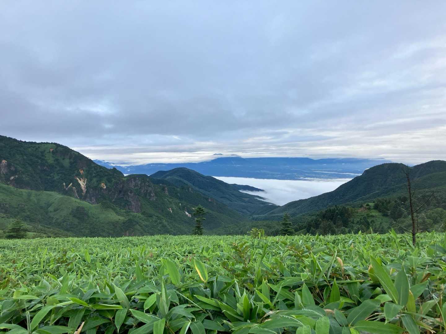 飯縄山の方