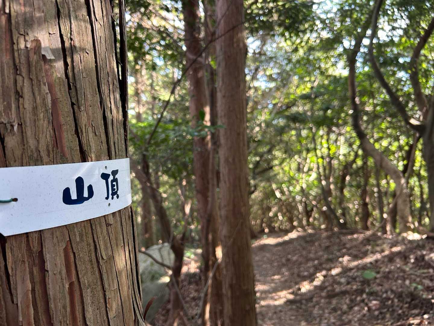 光がさして
ぽかぽかのいいお天気❣️