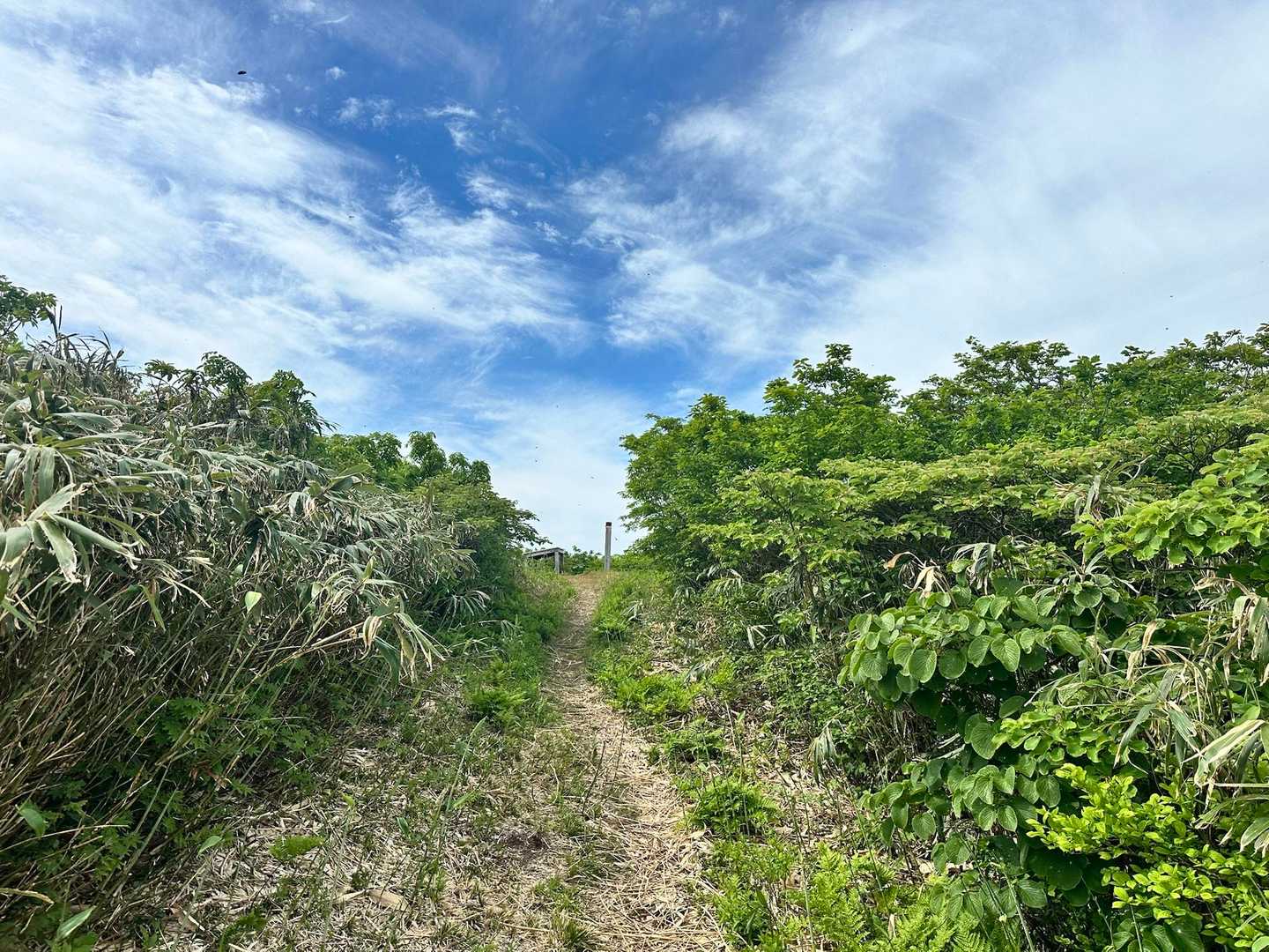 鈴ヶ岳登山口-鈴ヶ岳-大日山 往復コースの写真