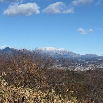 天子山地。毛無山は完全に雪❄️