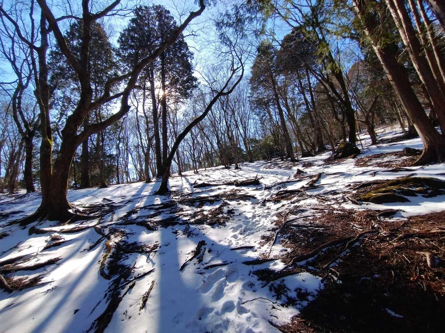 猪ノ瀬戸登山口-由布岳 往復コースの写真
