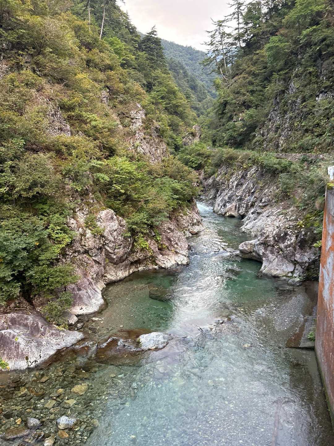 日向山 往復コースの写真