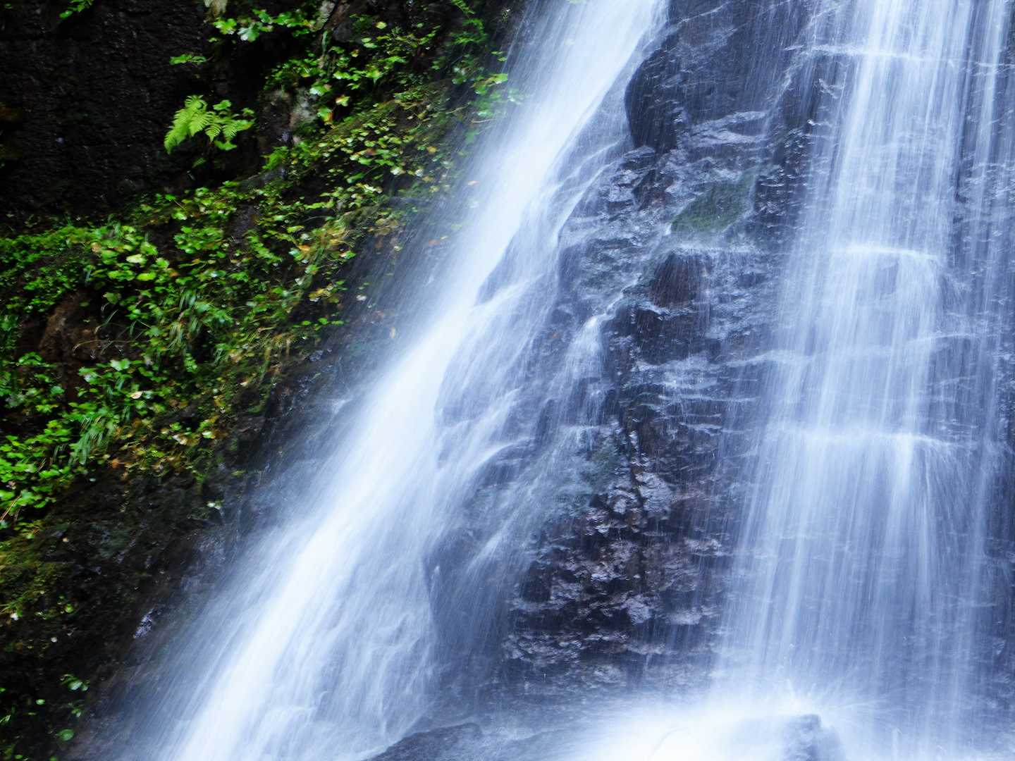 アップで。
水圧に耐え続ける岩もスゴイ！